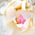 Bílá - Anglické růže - White Mary Rose